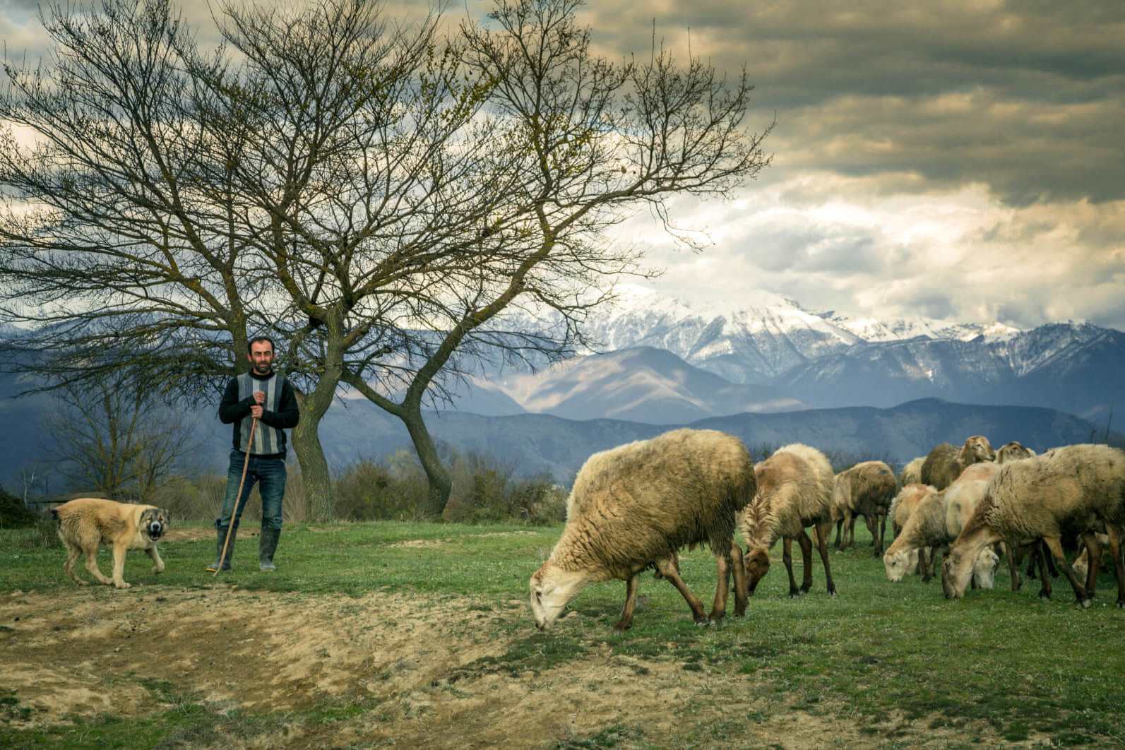 Hirte mit Hund, 1819 Caucasus